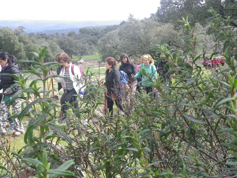 0-0-0-0-0-0-0-0-0-0-0-0-0-0-0-0-0-0-0-0-0-0-0-0-0-0-0-0-0-0-0-0-0-0-00000000000000000000000000000000000000000000000000000000000019