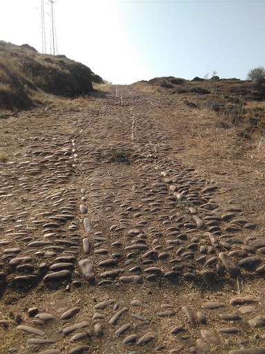 0-0-0-0-0-0-0-0-0000000000000000000000000000000000000000000000000000000000000000000000000000000000000000000000000000000000000000000000000000000000000000000000000000000000000000000001111111111111111114