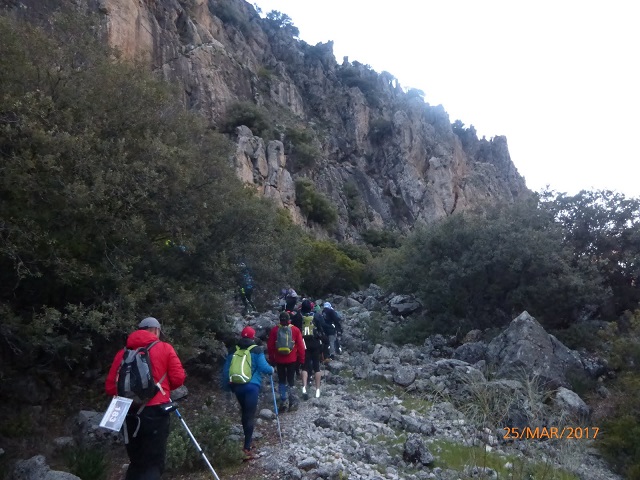 A-Aaaaa1aaaAAAaaaaaaaaaaaaaaaaaaaaaaaaaaaaaaaaaaaaaaaaaaaaaaaaaaaaaaaaaaasierrasur3