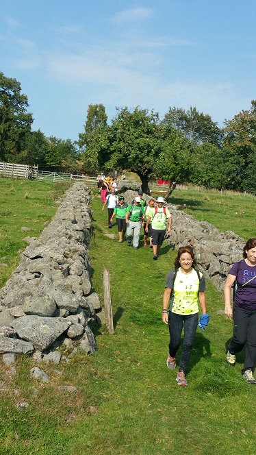 A-Aaaaa1aaaAAAaaaaaaeurorandosuecia2.2