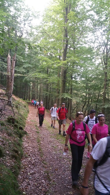 A-Aaaaa1aaaAAAaaaaaaeurorandosuecia2.5