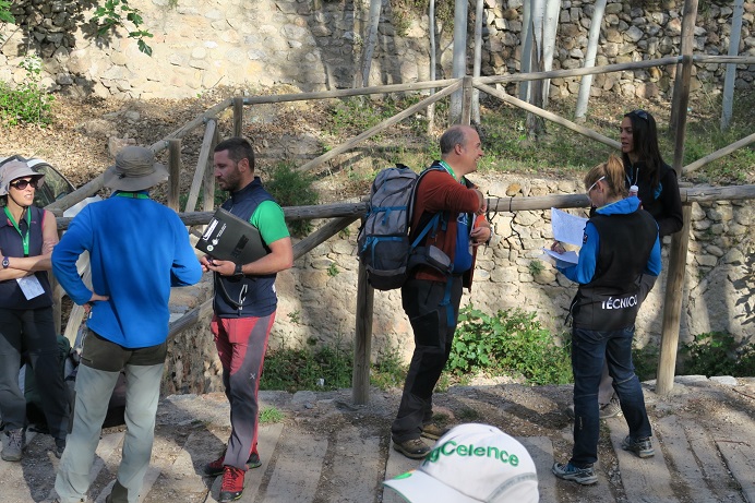 A-Aaaaa1aaaAAAaacursomonfam2