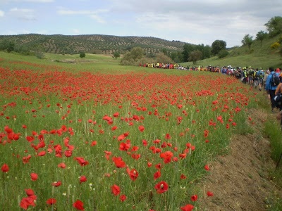 A-Aaaaa1aaaAAAaarbitroscurso2