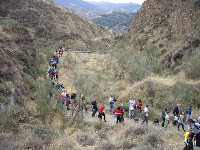 A-Aaaaa1aaaAACaminata3