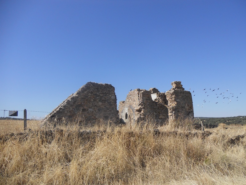 A-Aaaaa1aaaCabrasnaturcor2