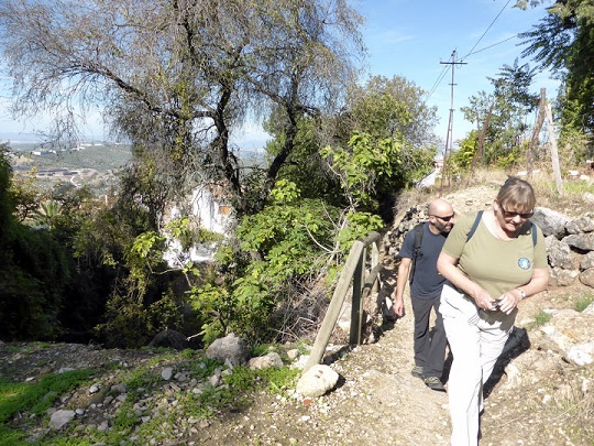 A-Aaaaa1aaaCazorla24