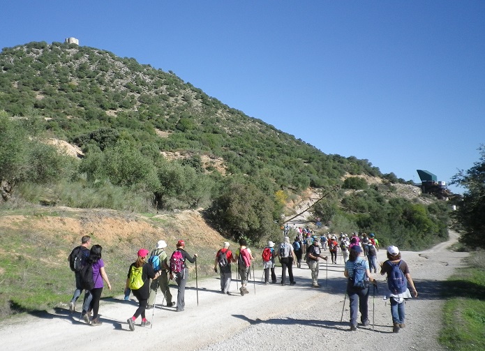 A-Aaaaa1aaaEncuentroVetSevilla2