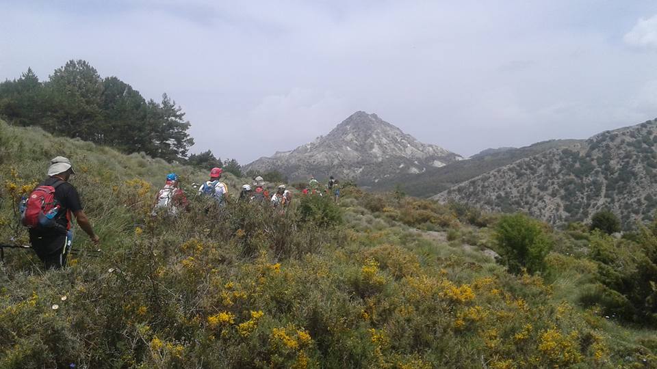 A-Aaaaaaaaaaaaaaaaaaaalborde35millas2