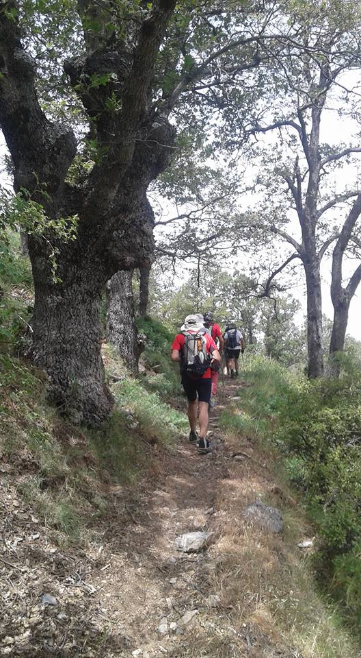 A-Aaaaaaaaaaaaaaaaaaaalborde35millas3