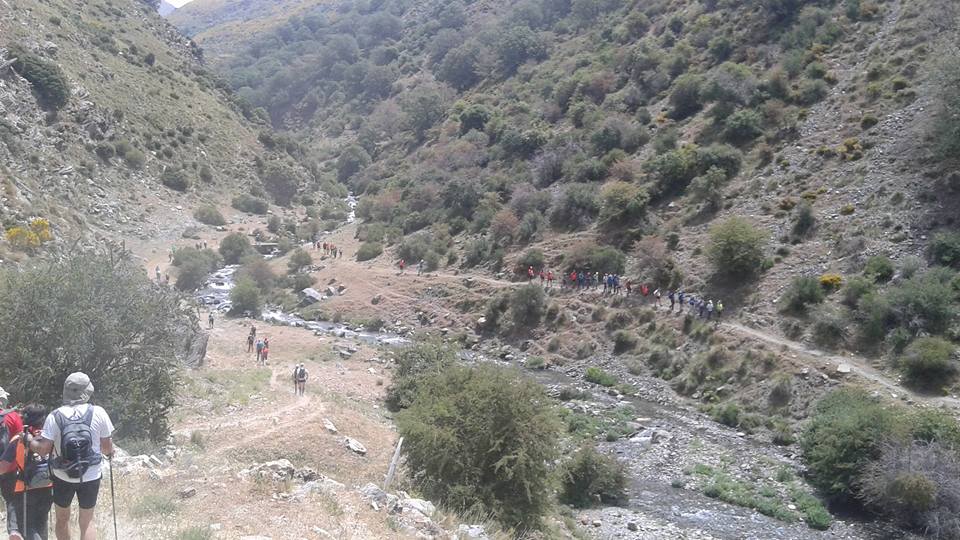 A-Aaaaaaaaaaaaaaaaaaaalborde35millas4