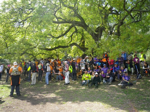 A-Aaaaaaaaaaaaaaaaaveteranos1