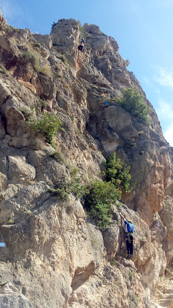 A-Aaaaaaaaaaaaaaaaberjanatura2