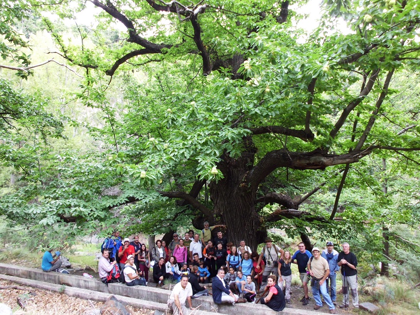 A-Castao de Laroles ALMERIPOL