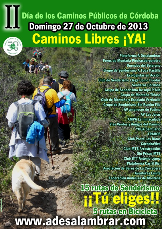 cartel-dia-caminos-2013 def