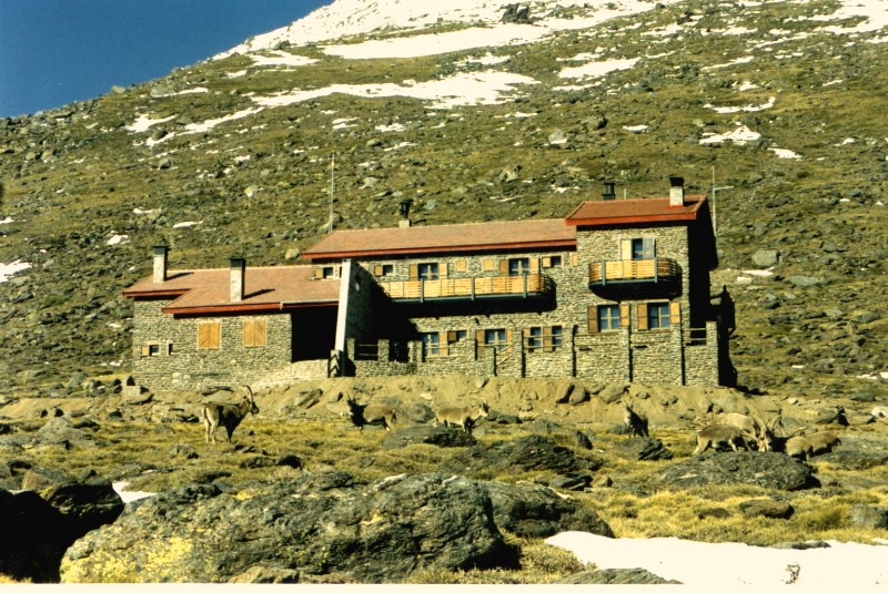 monteses en el refugio